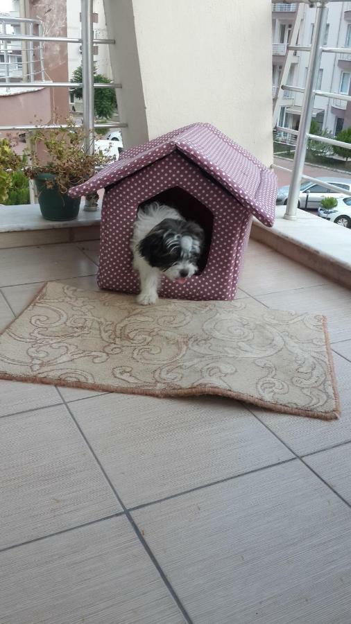 Zubeyde Hanim Evleri *