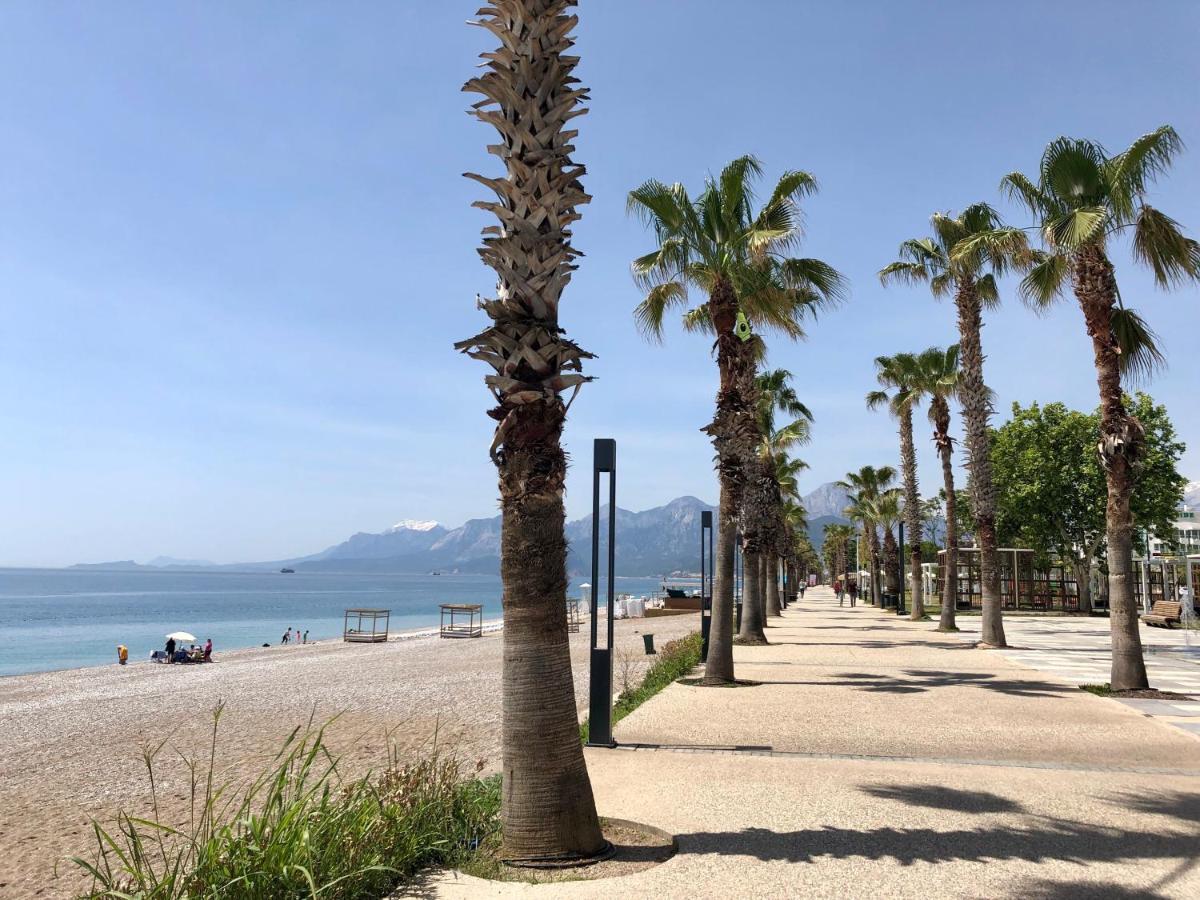Only One Suites & Residences Daire Antalya
