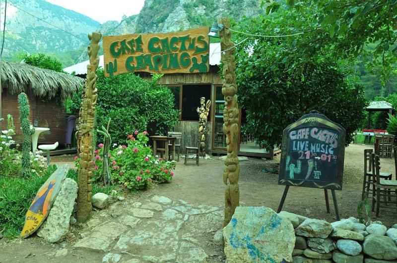 Cafe Cactus Camping *