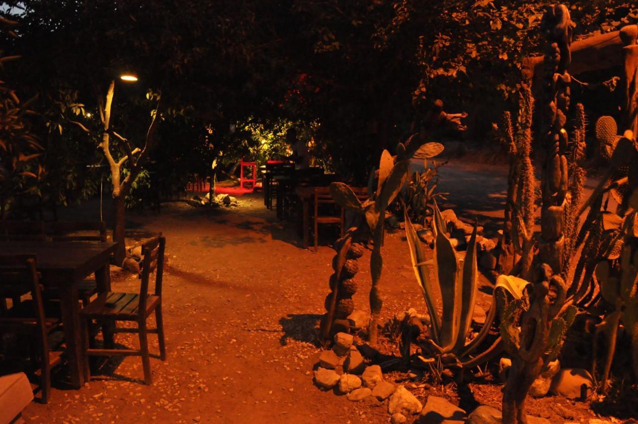 Luxury tent Cafe Cactus Camping *