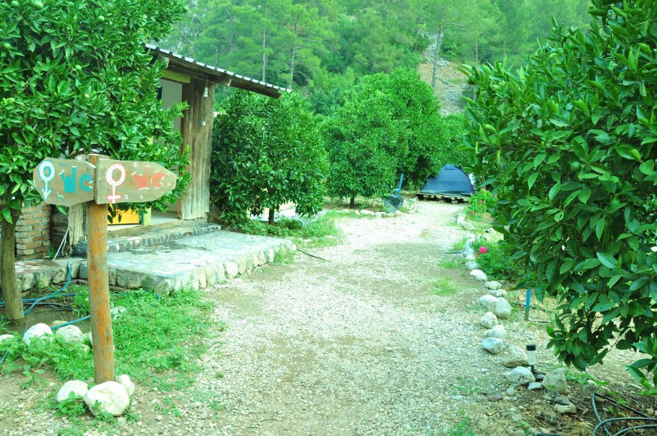 Cafe Cactus Camping * Antalya