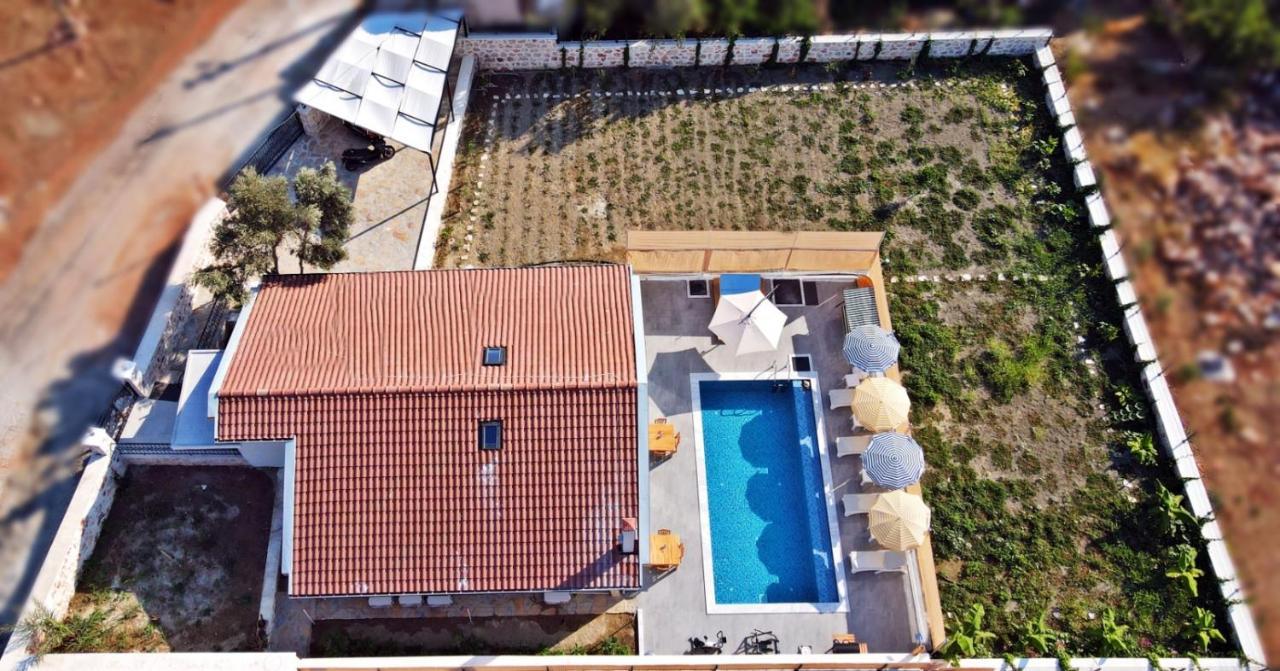 Lion Kas Villa *