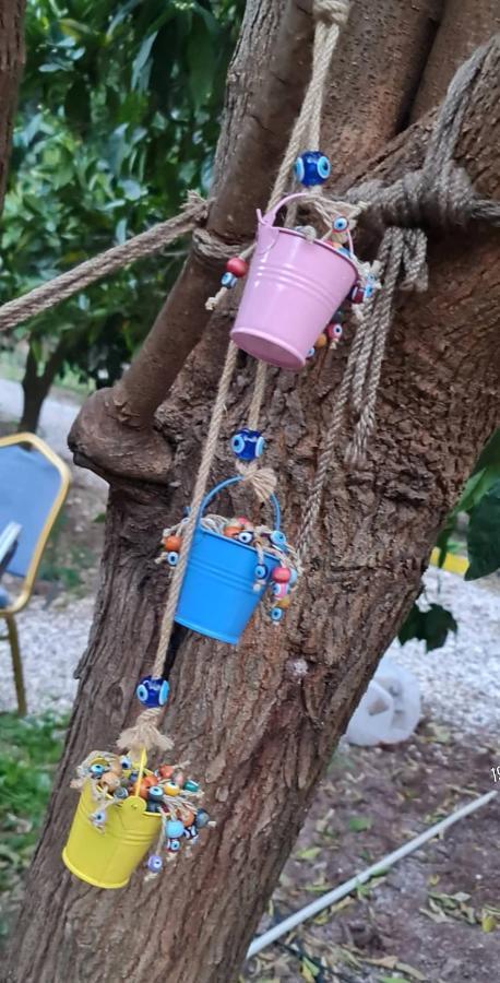 Privatunterkunft Truva