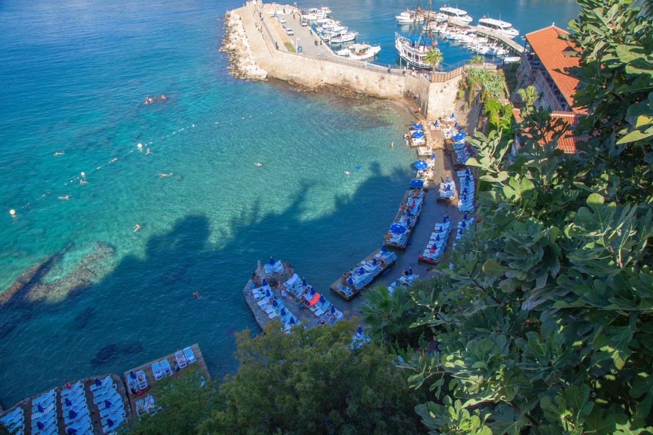 Mavi Avlu - Old Town Daire *