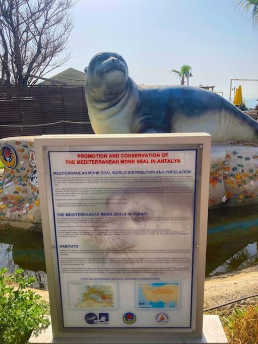 Karden Antalya