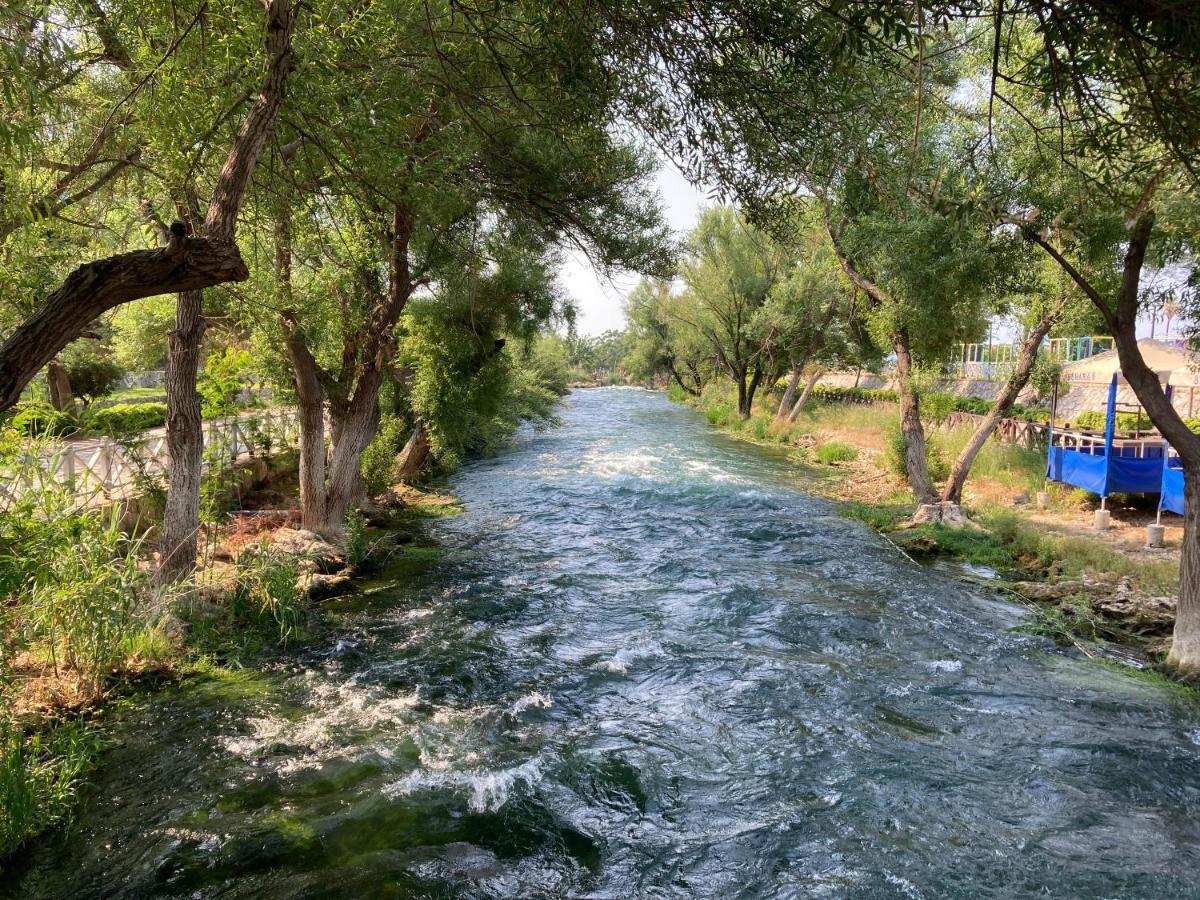 Karden