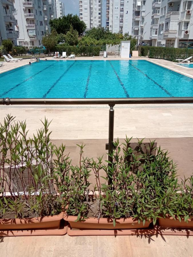 Hayat Sitesi