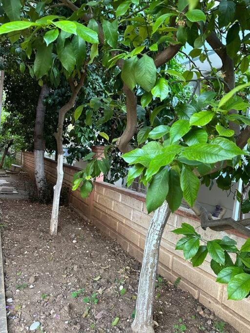 500 Meters To Konyaalti Beach, 2+1 Fully Furnished Daire *