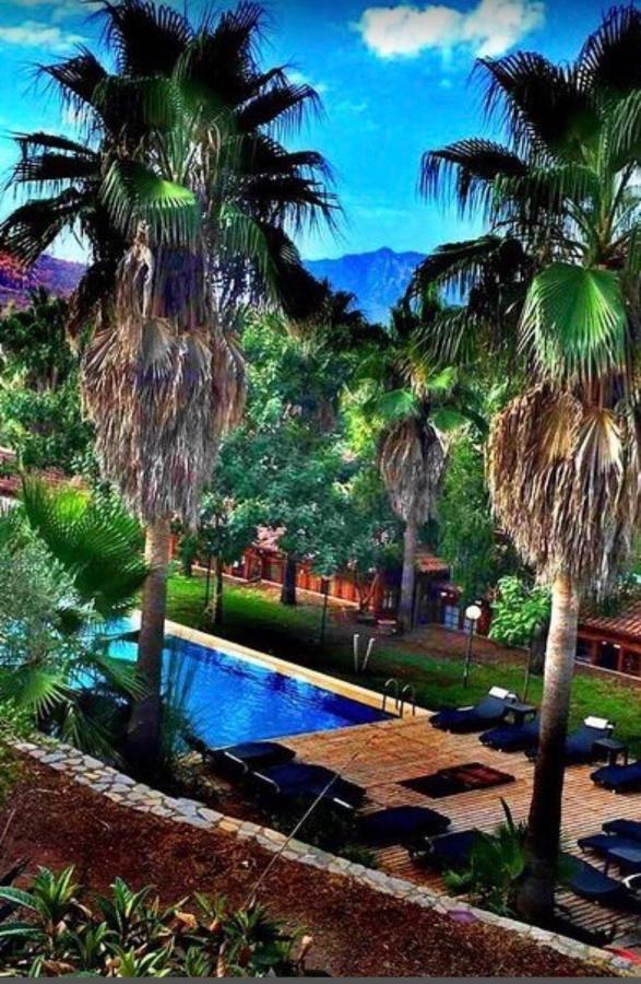 Otel Olympos Paradise 3*