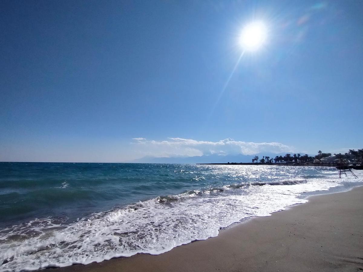 Denizim Villa&apartments Daire