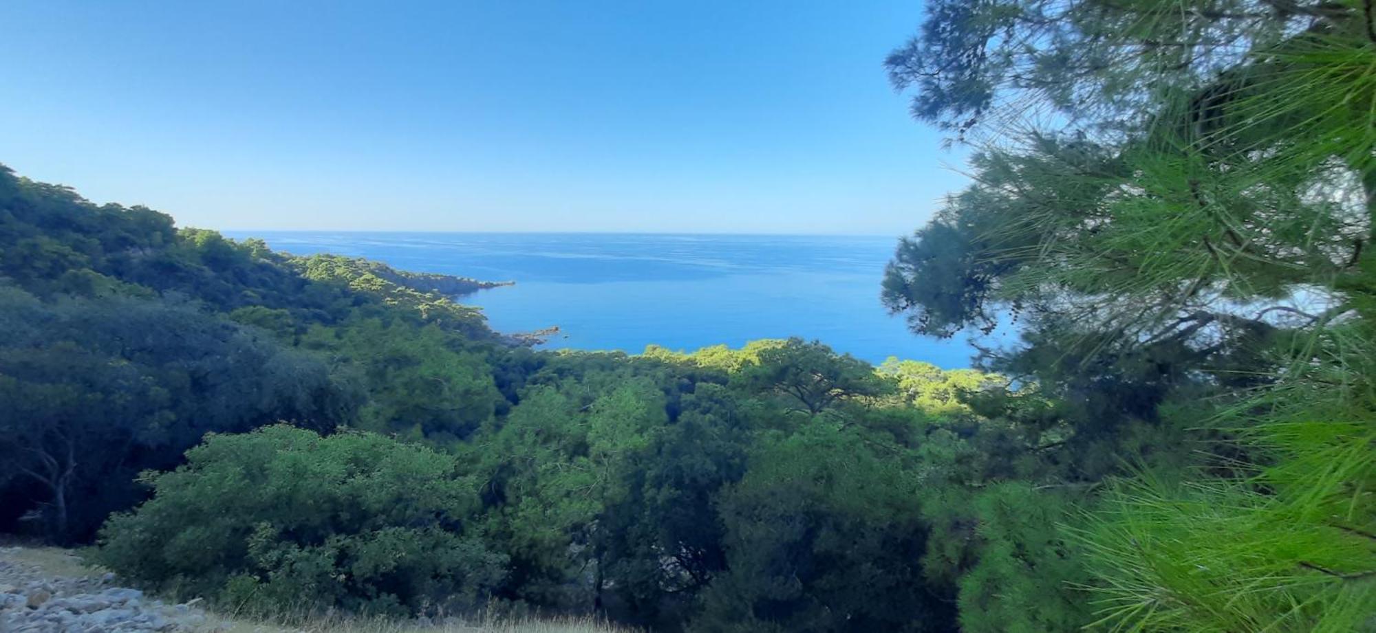 Gelidonia Fenerium Tatil Evi