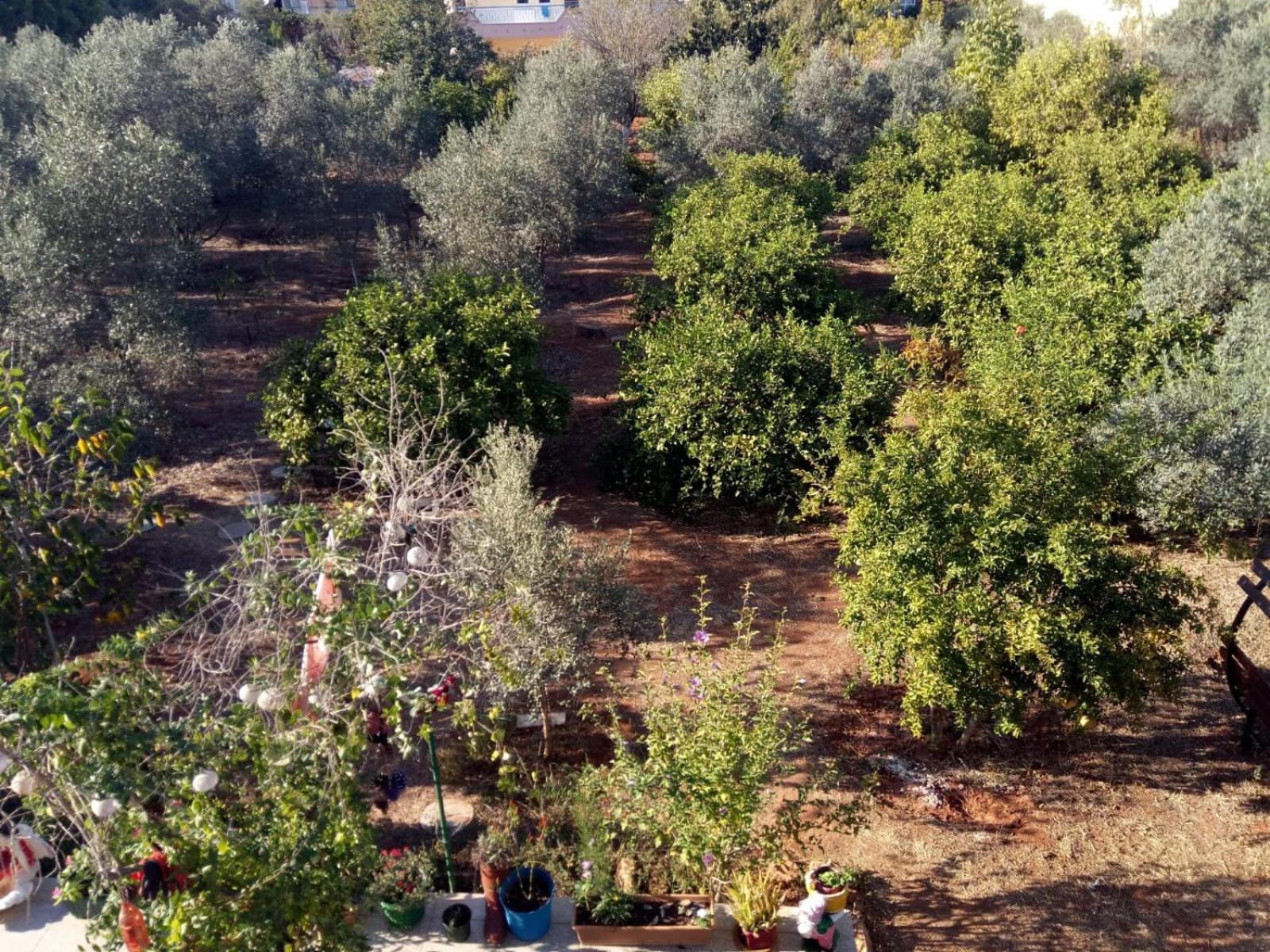 Holiday home Gizli Bir Cennet *