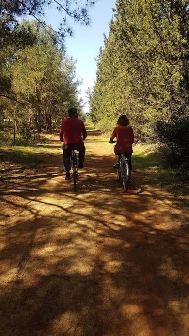 Holiday home Gizli Bir Cennet