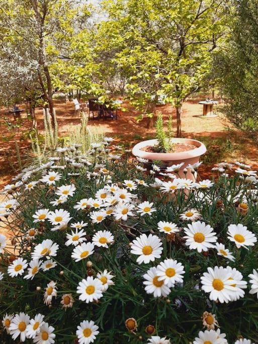 Holiday home Gizli Bir Cennet Antalya