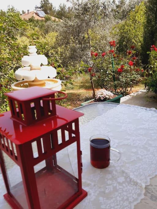 Gizli Bir Cennet Antalya