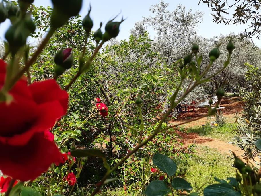 Holiday home Gizli Bir Cennet