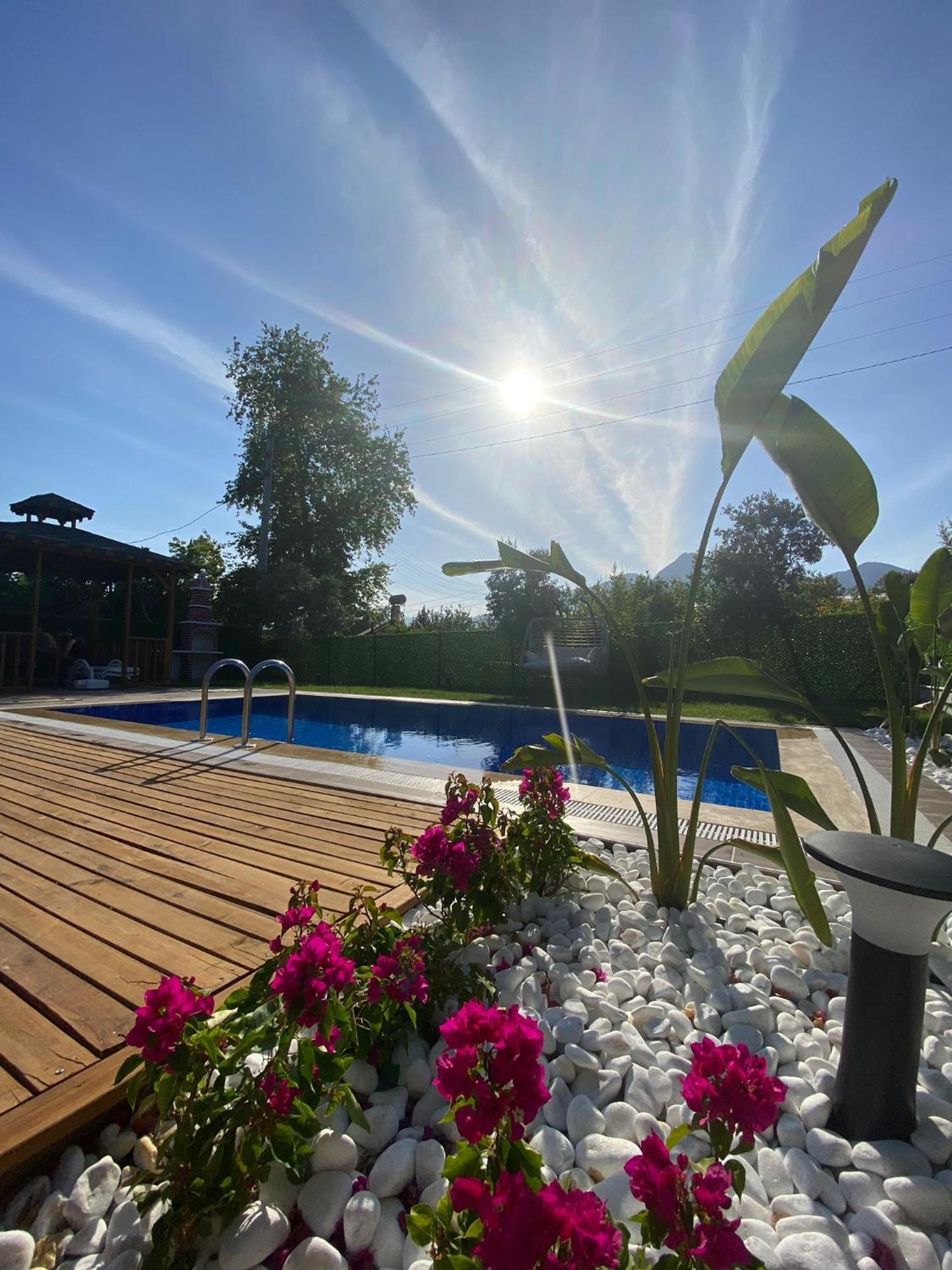 Eyluel Villa