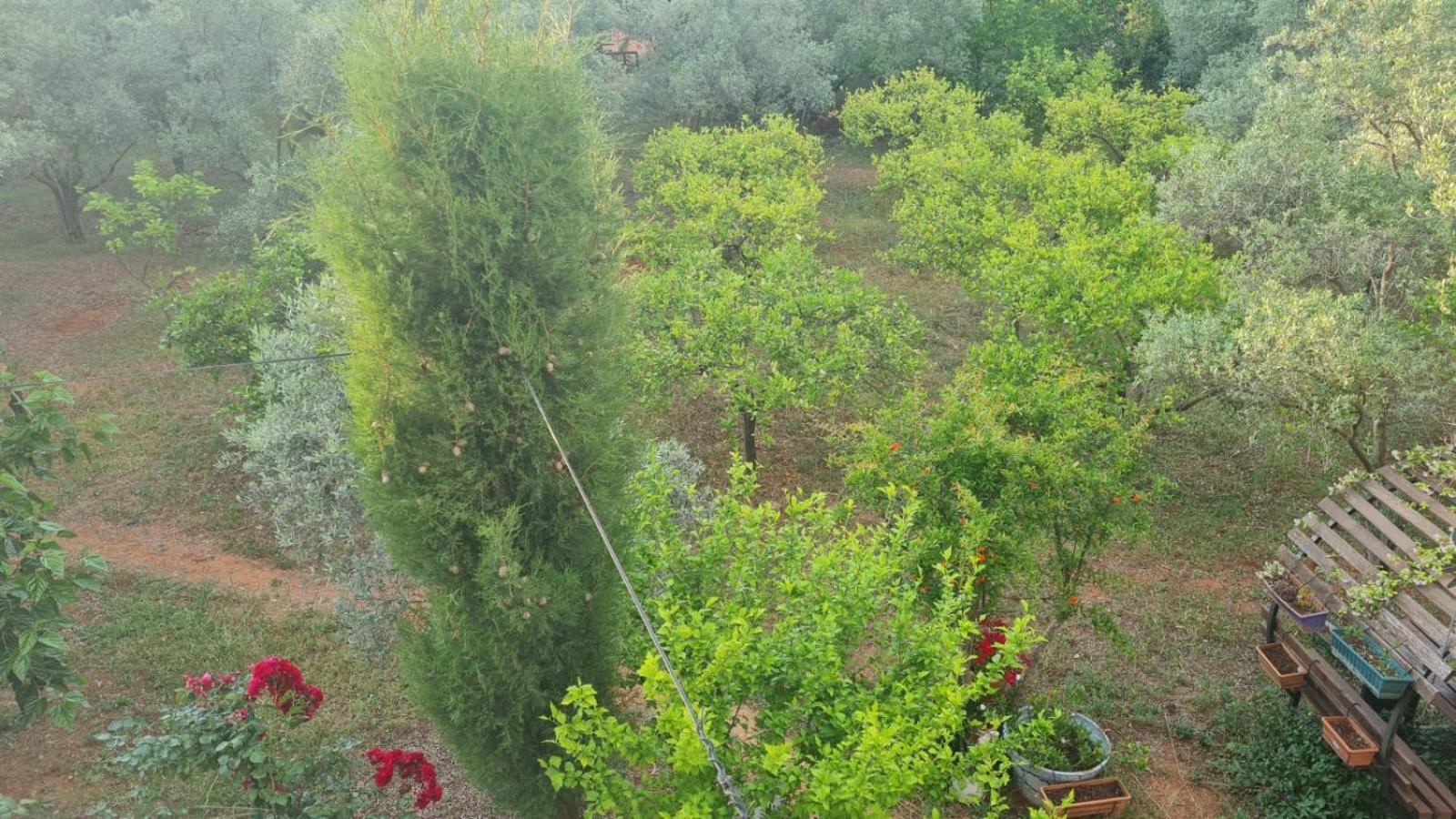 Holiday home Gizli Bir Cennet