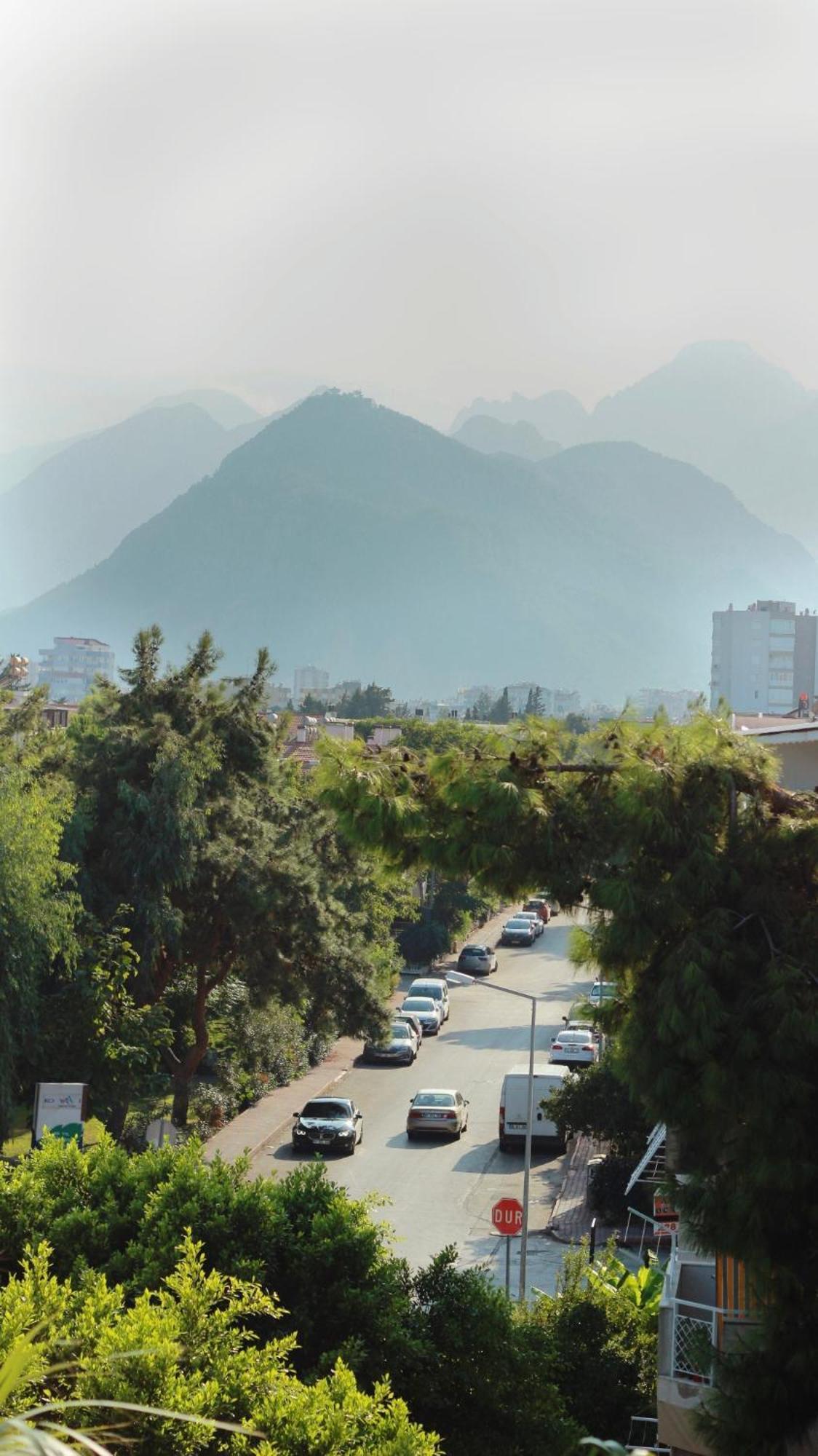 Dodonohome Antalya