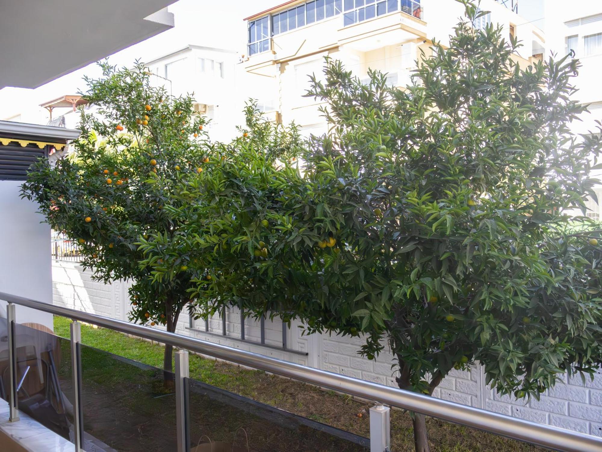 Aparthotel Gueden-pearl