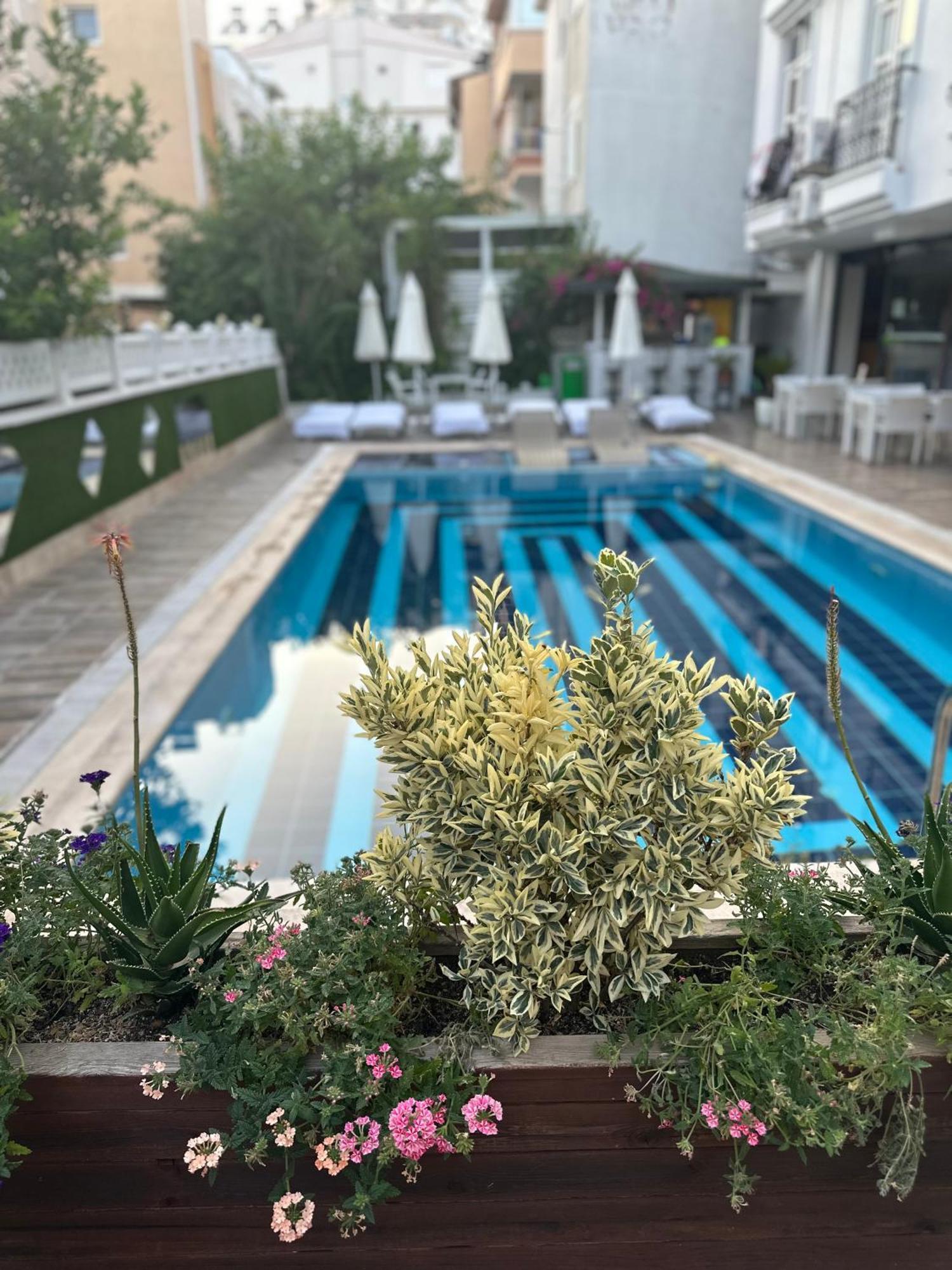 Serenity Hotel 3*