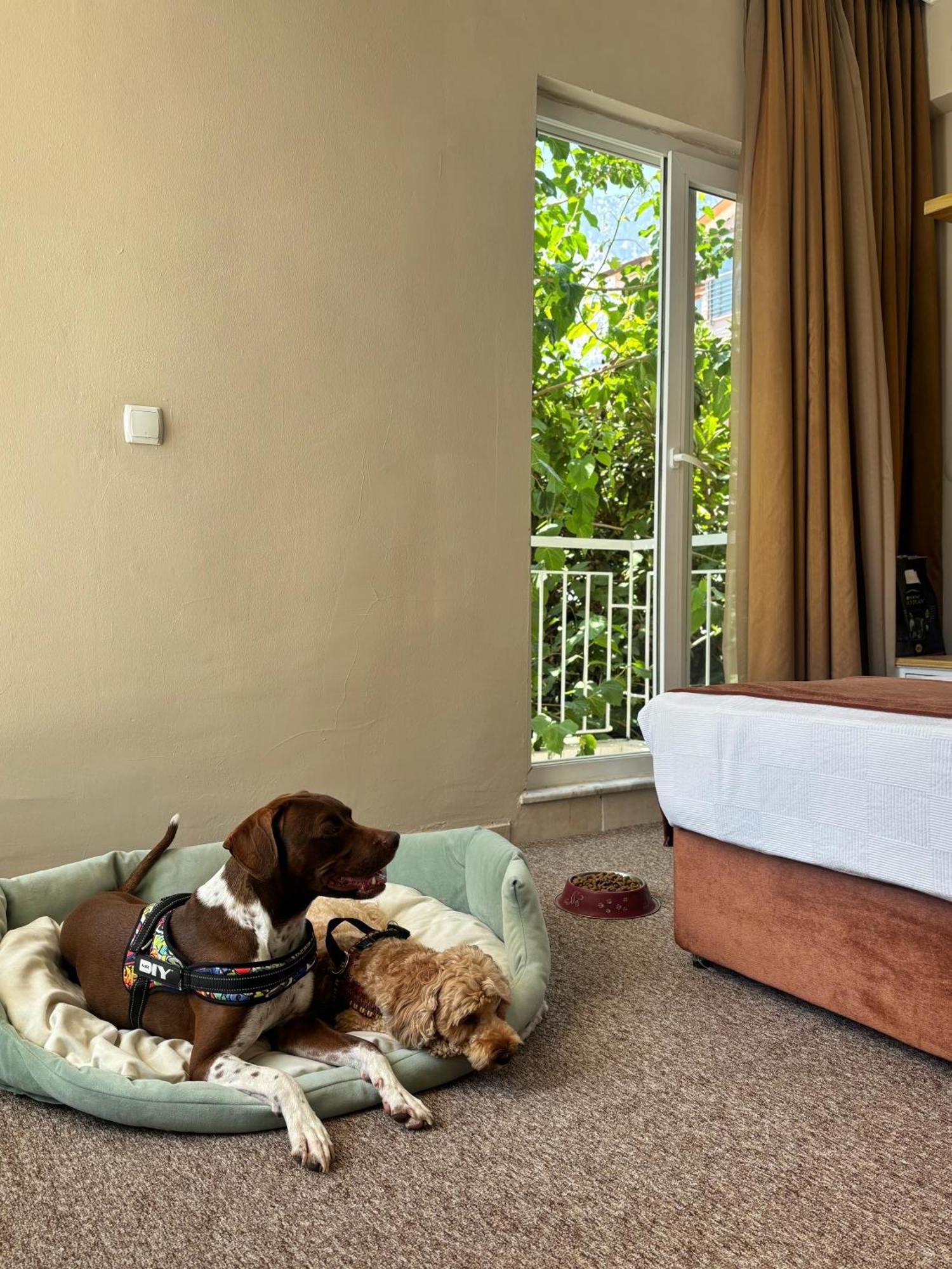 Moy Beldibi 3* Antalya