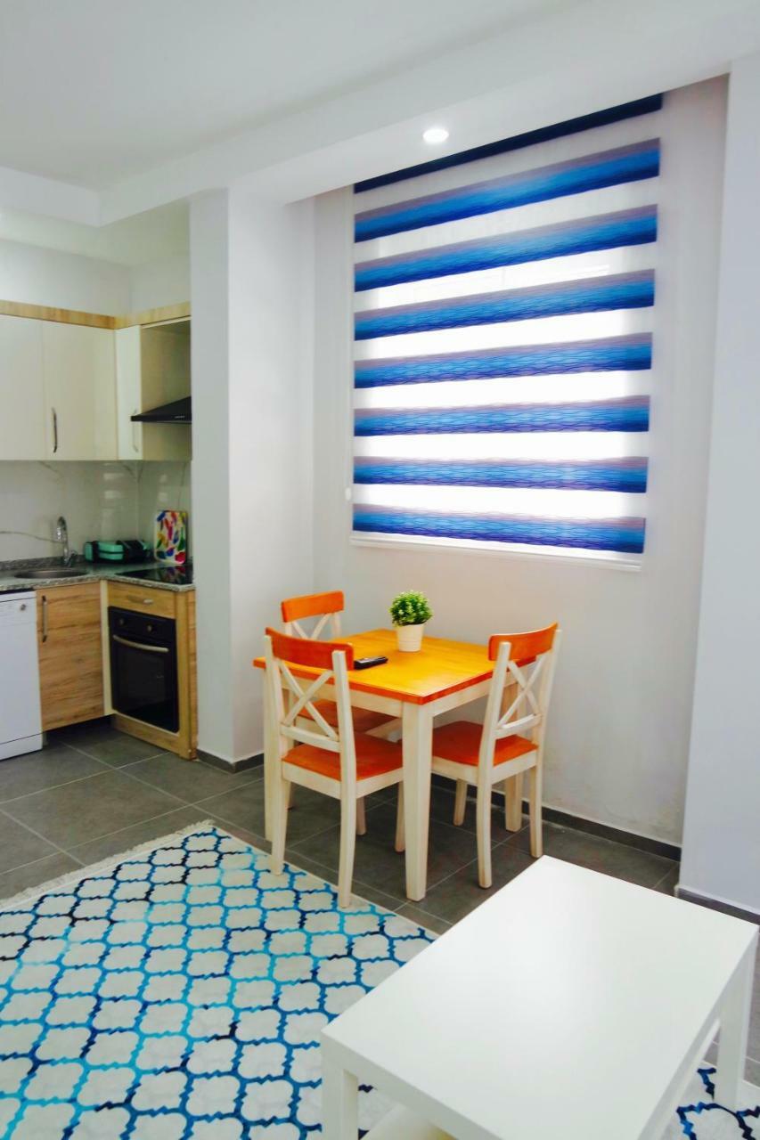 Apartment Modern