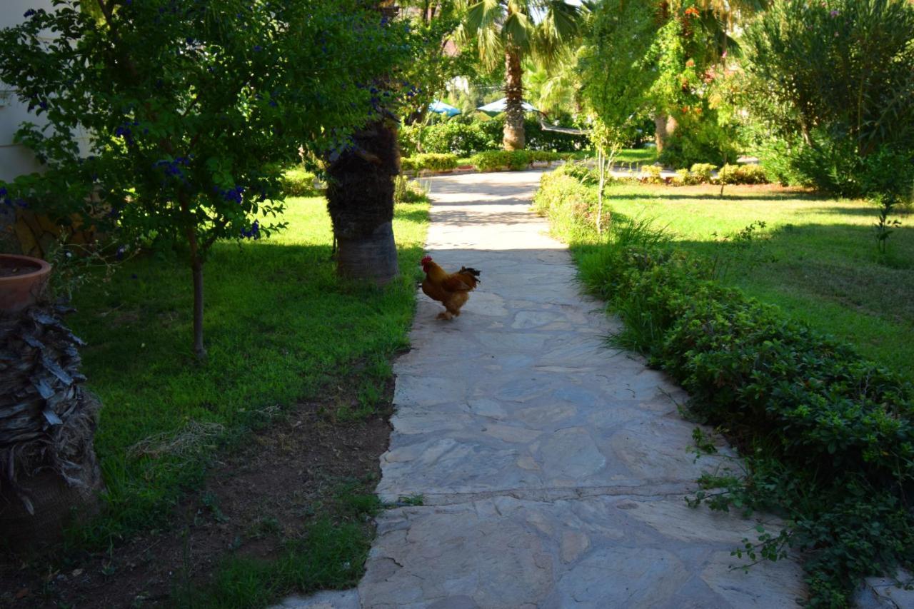 Adrasan Beach Club Hotel