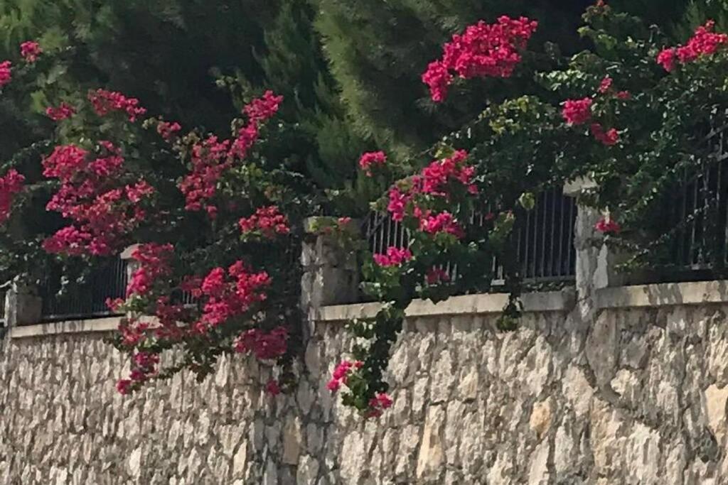 Villa Luxury For Rent In Kemer, Goynuk Antalya