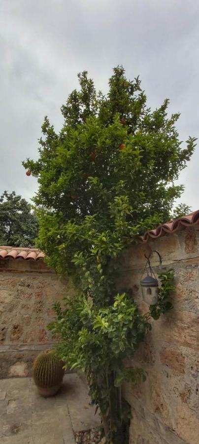 Castle Apartment Antalya