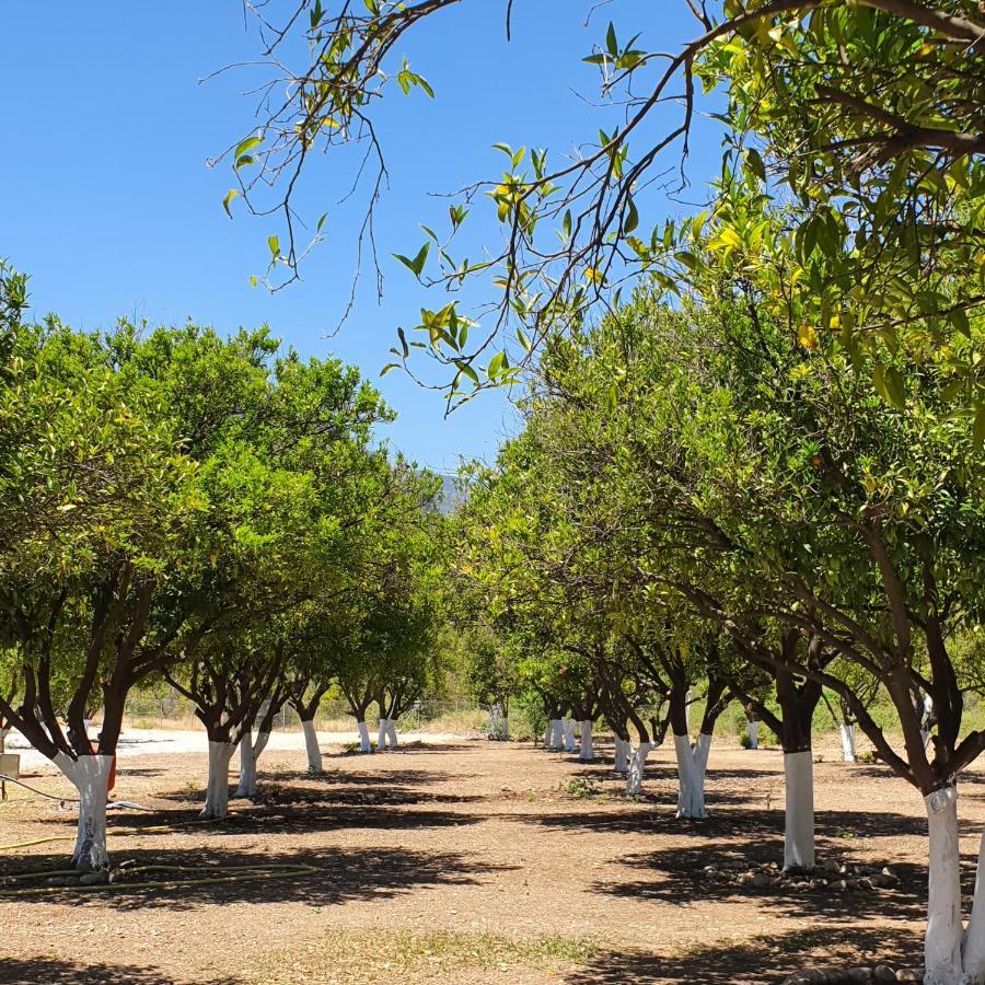 Orange Camp Antalya