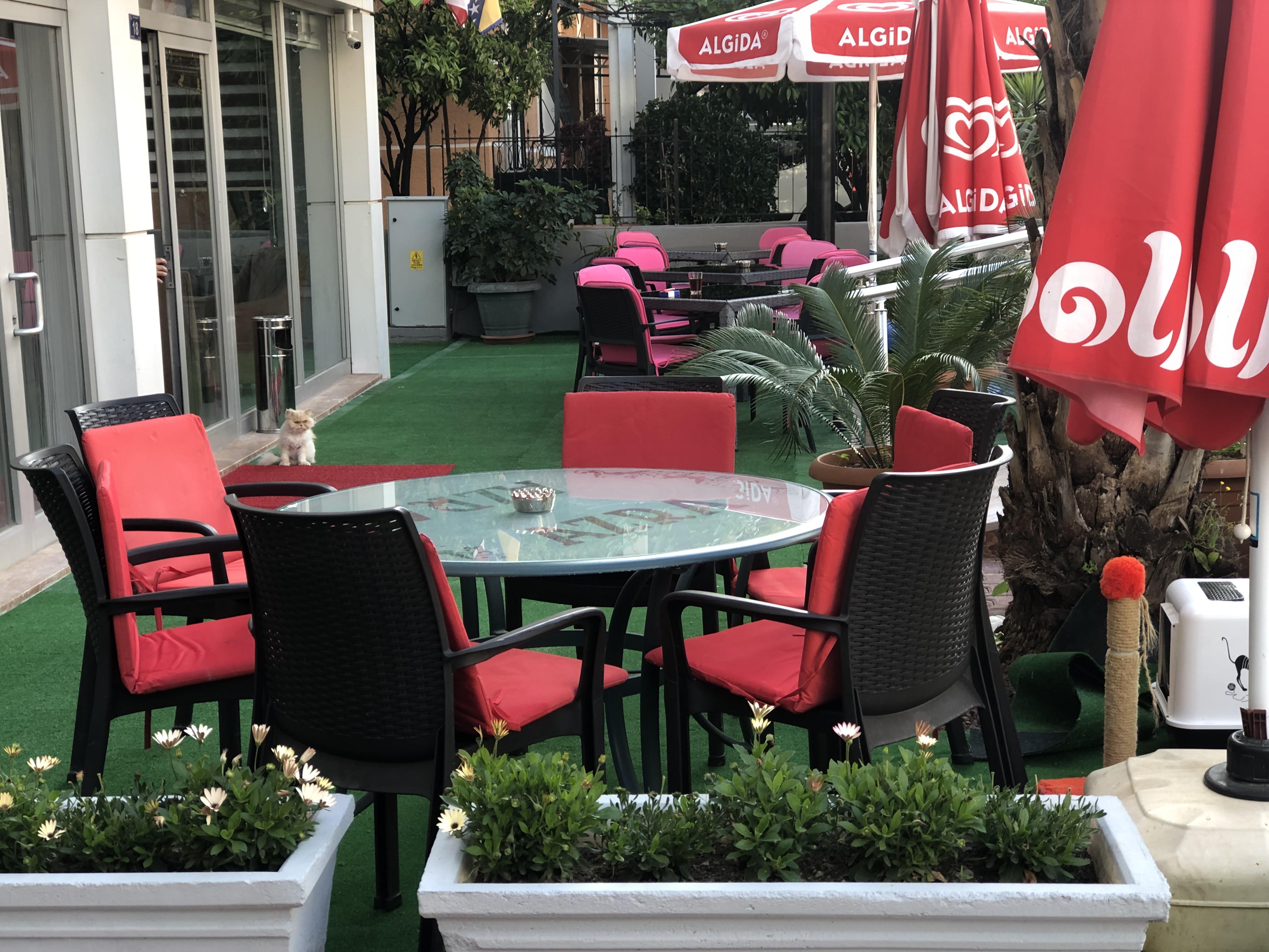 Ahsen Antalya