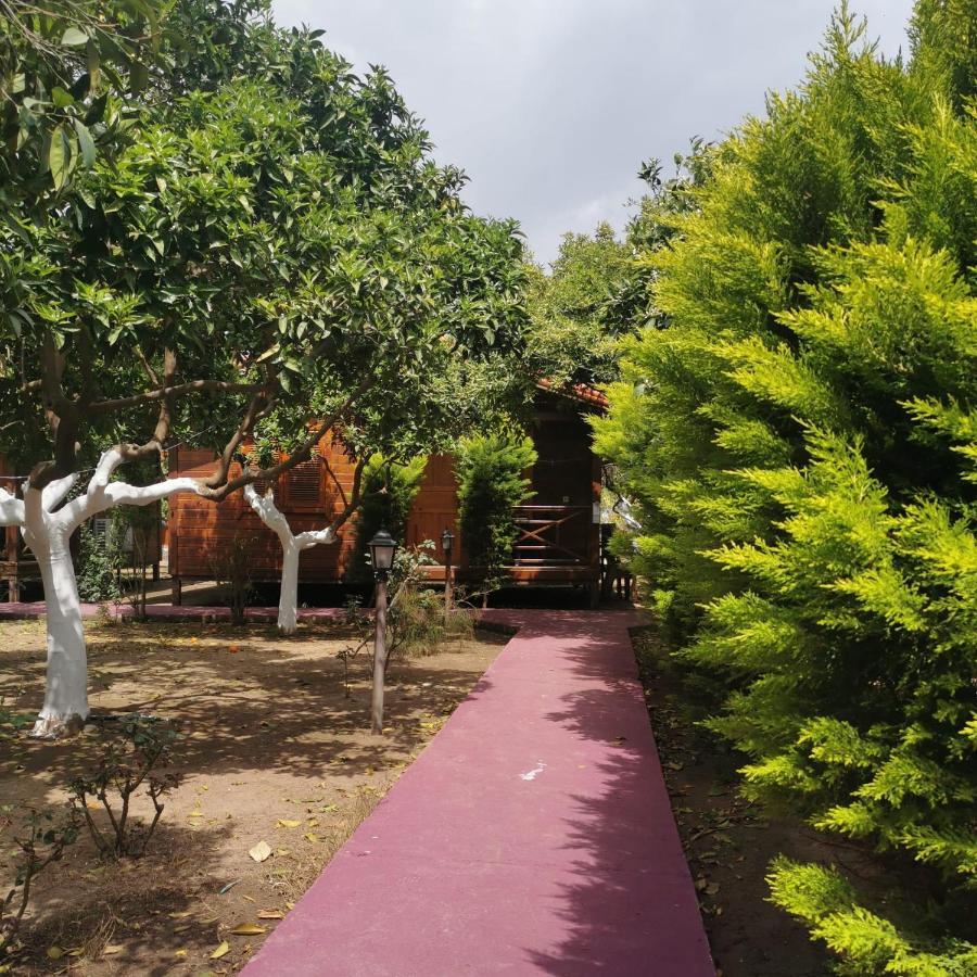 Homestay Sahil Pansiyon Bungalow *