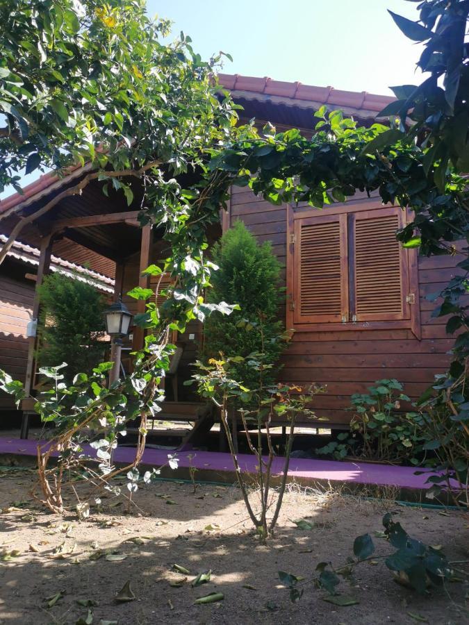 Sahil Pansiyon Bungalow * Antalya