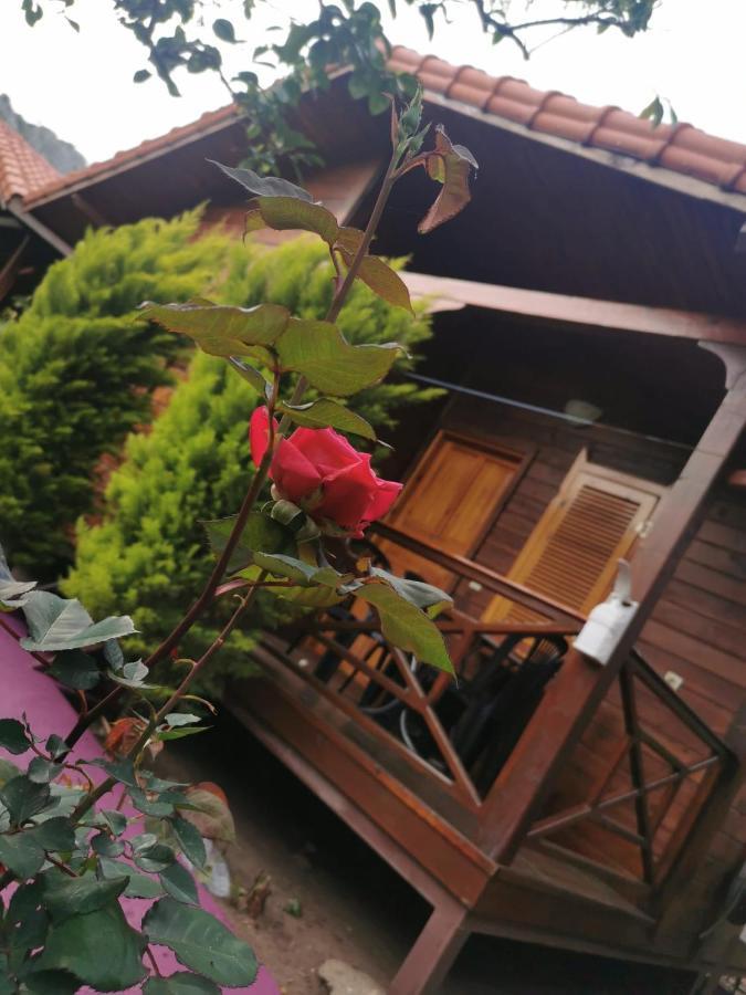 Homestay Sahil Pansiyon Bungalow
