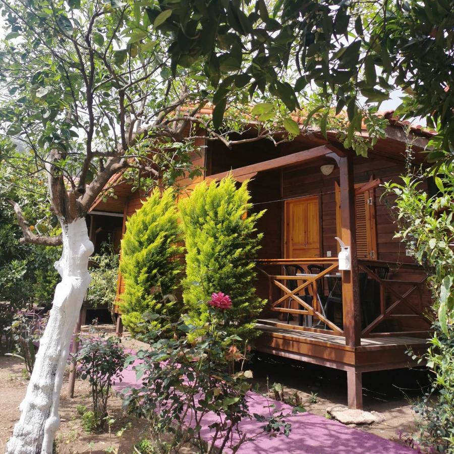 Homestay Sahil Pansiyon Bungalow