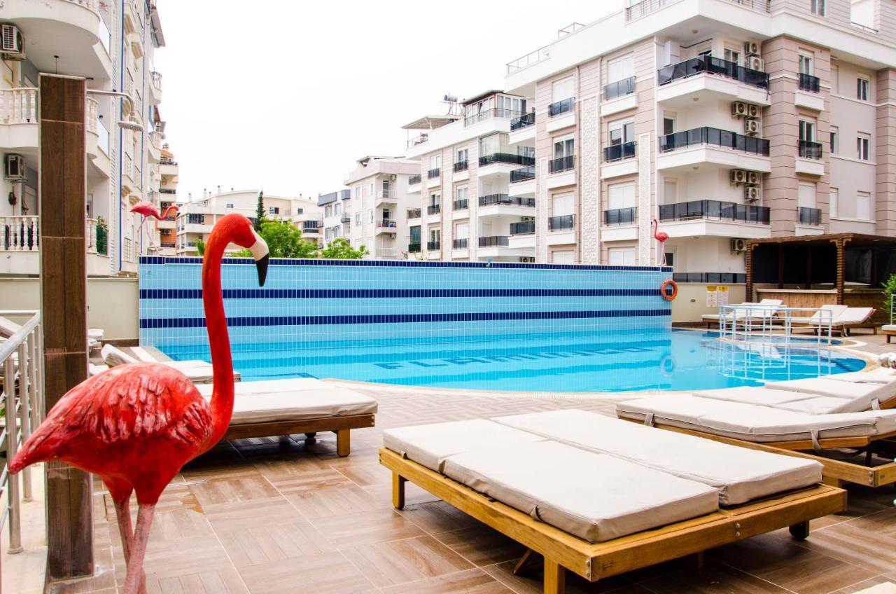 Flamingo