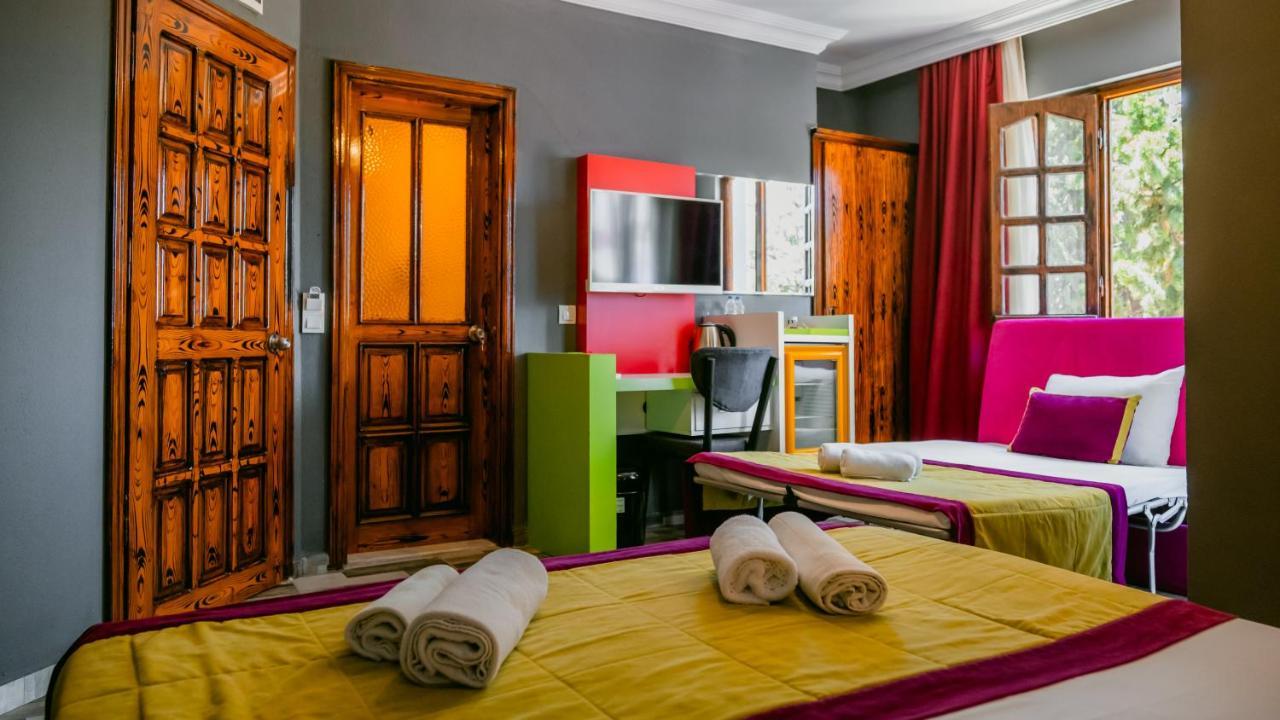 Otel Orange Owl