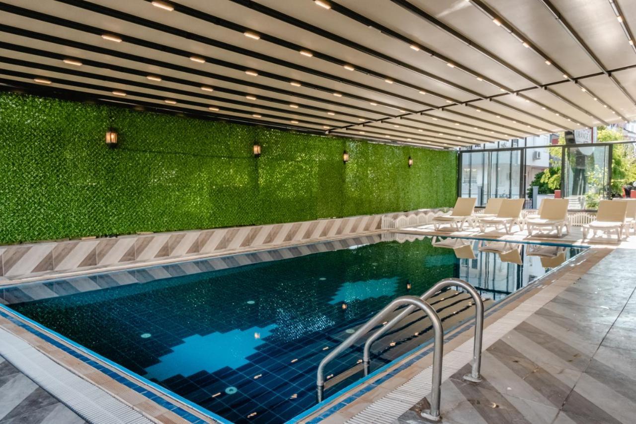Otel Orange Owl