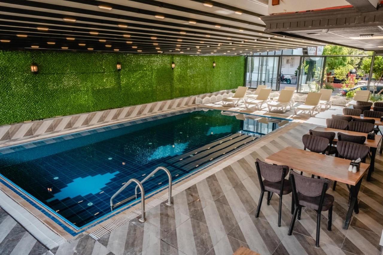 Otel Orange Owl