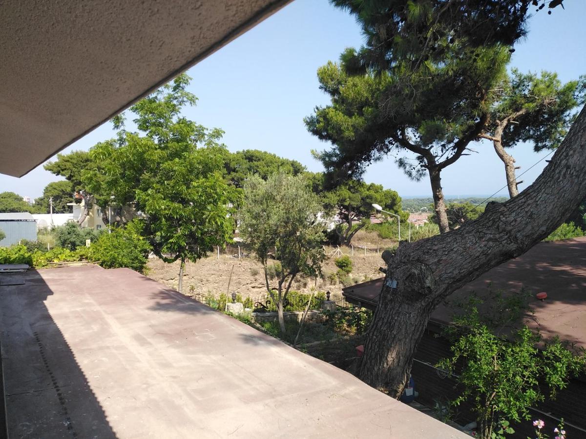 Garden Flats Daire *