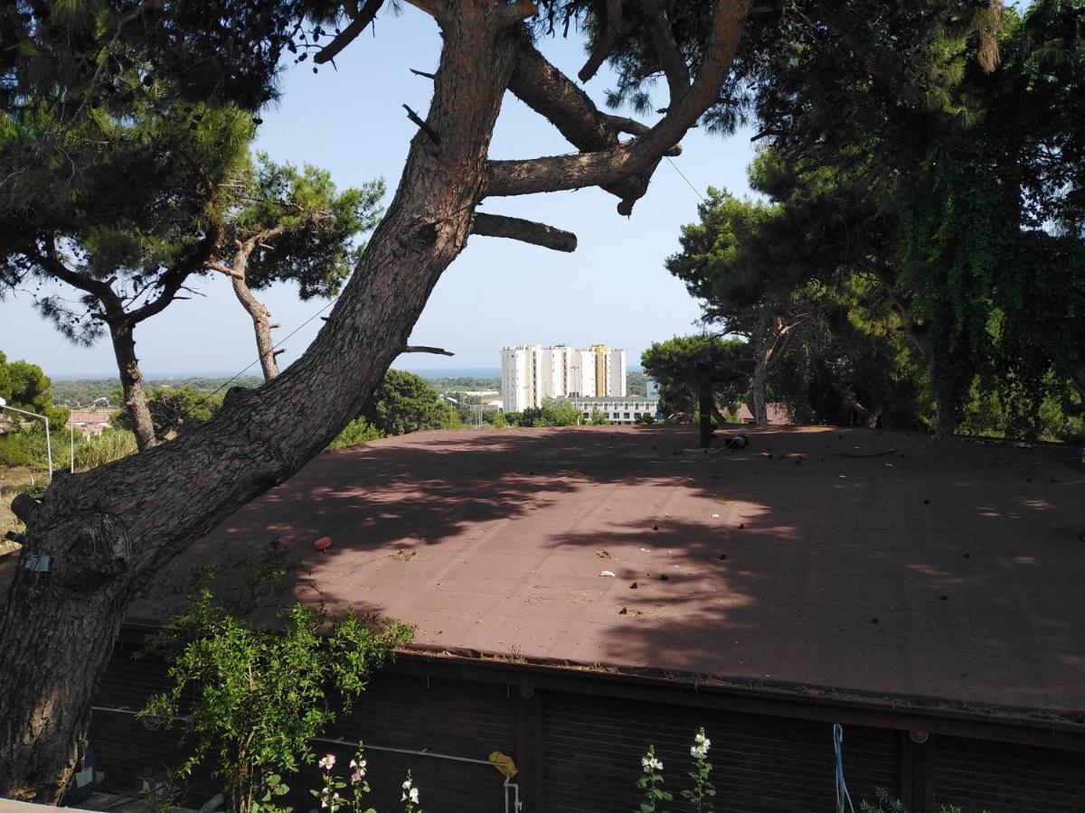 Garden Flats * Antalya