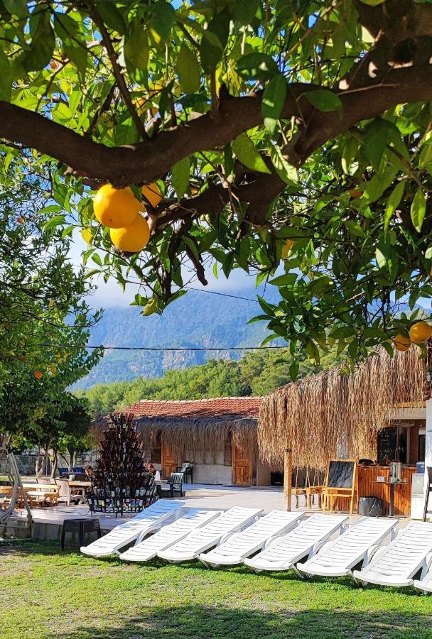 Orange Camp 3* Antalya