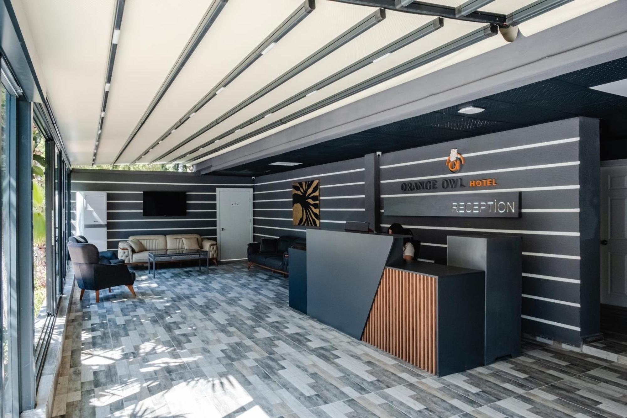 Otel Orange Owl