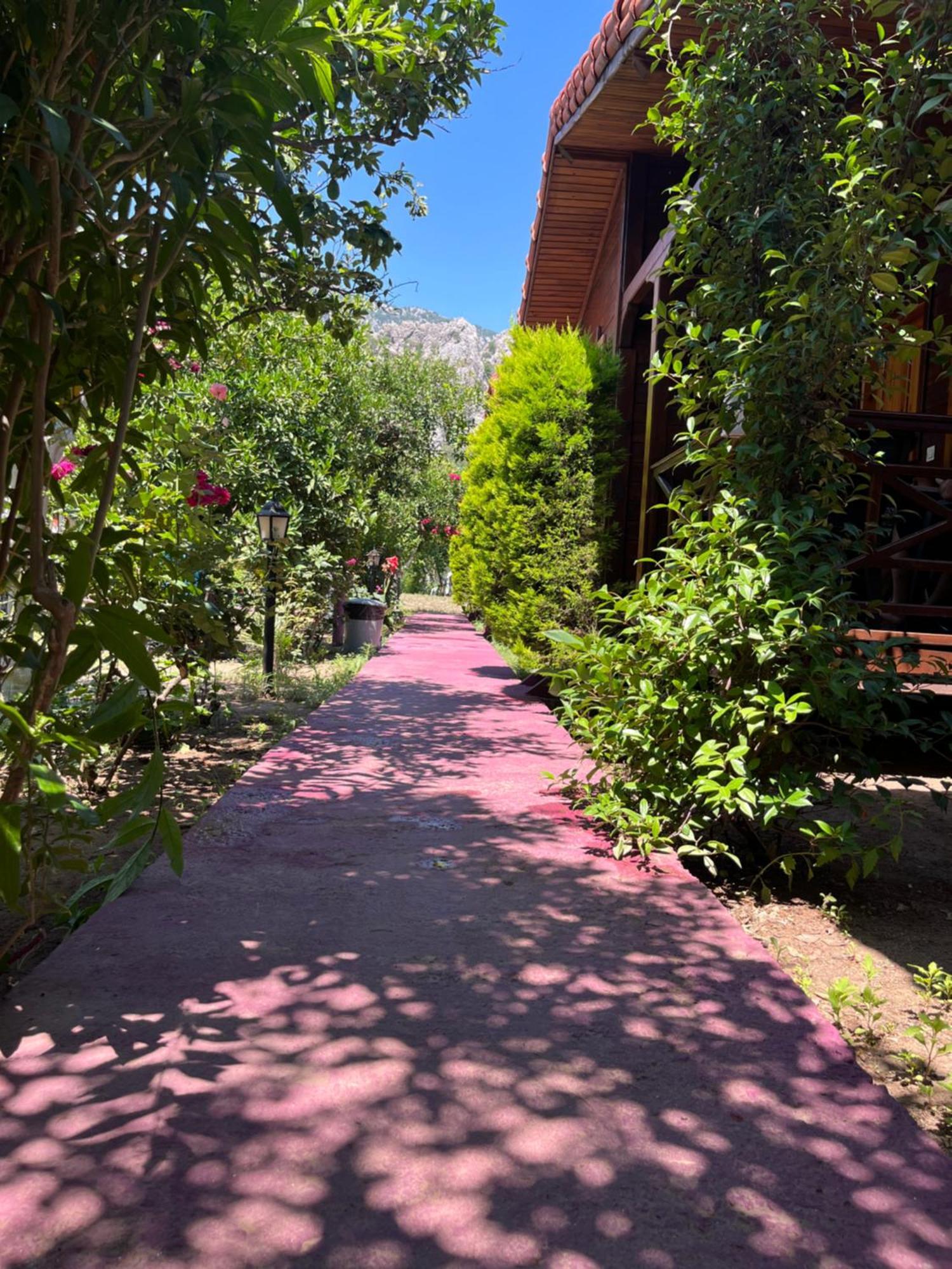 Homestay Sahil Pansiyon Bungalow