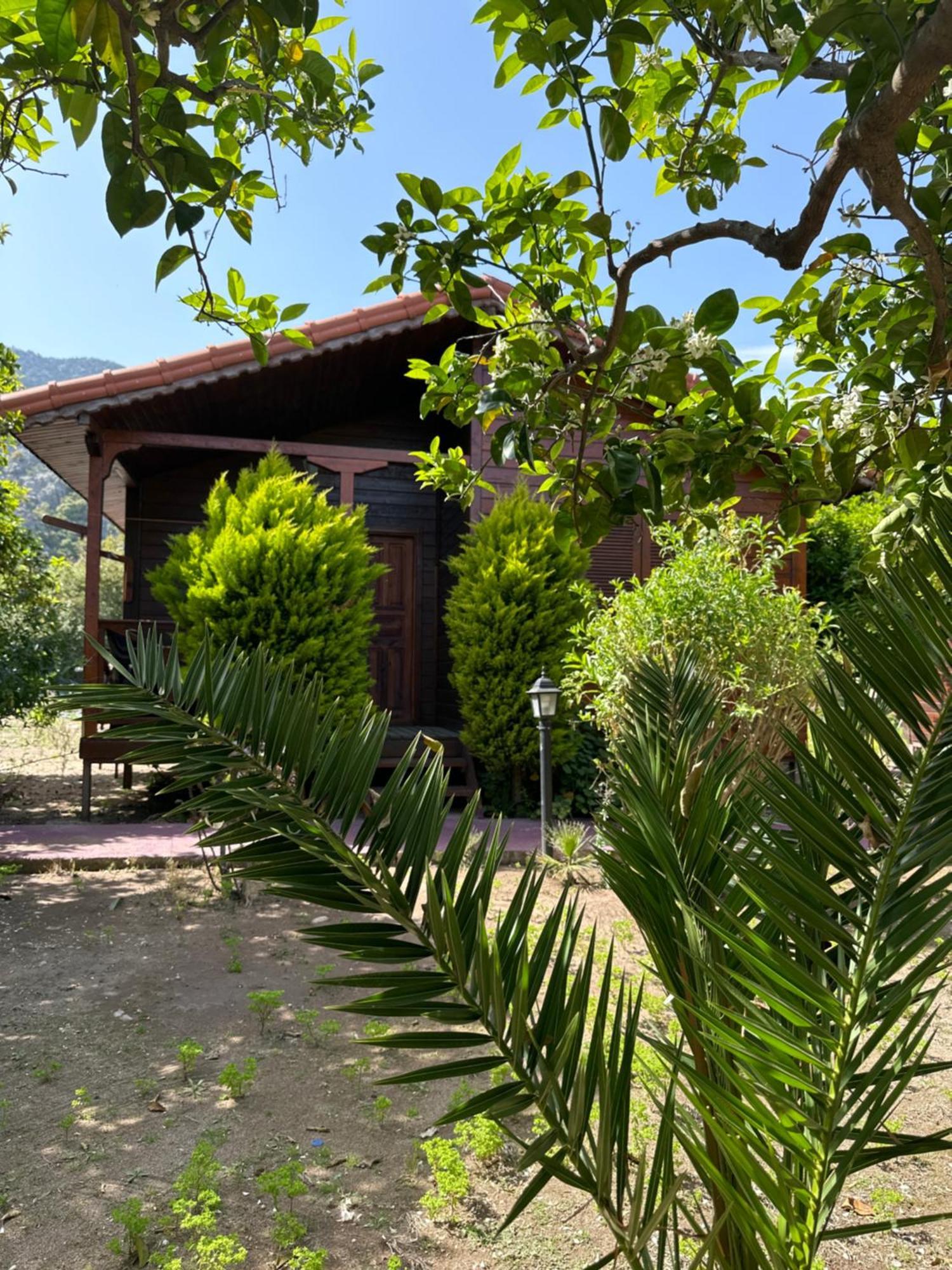 Sahil Pansiyon Bungalow Homestay Antalya