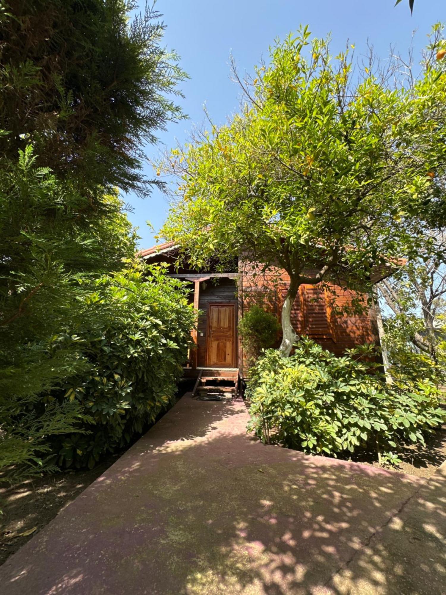 Sahil Pansiyon Bungalow Antalya