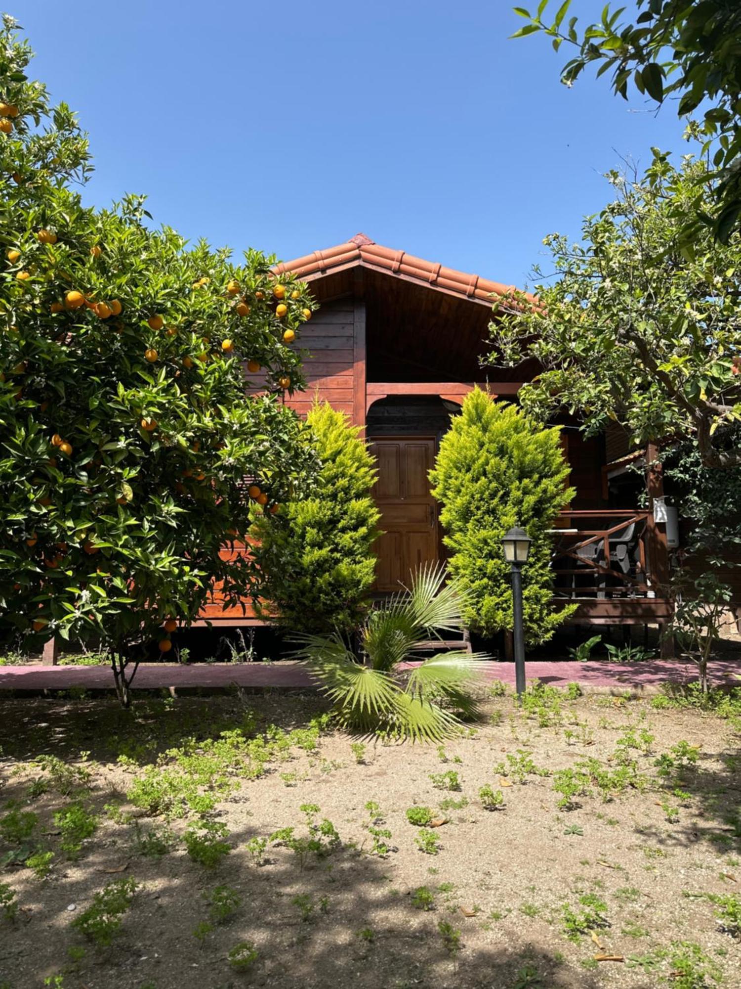 Sahil Pansiyon Bungalow