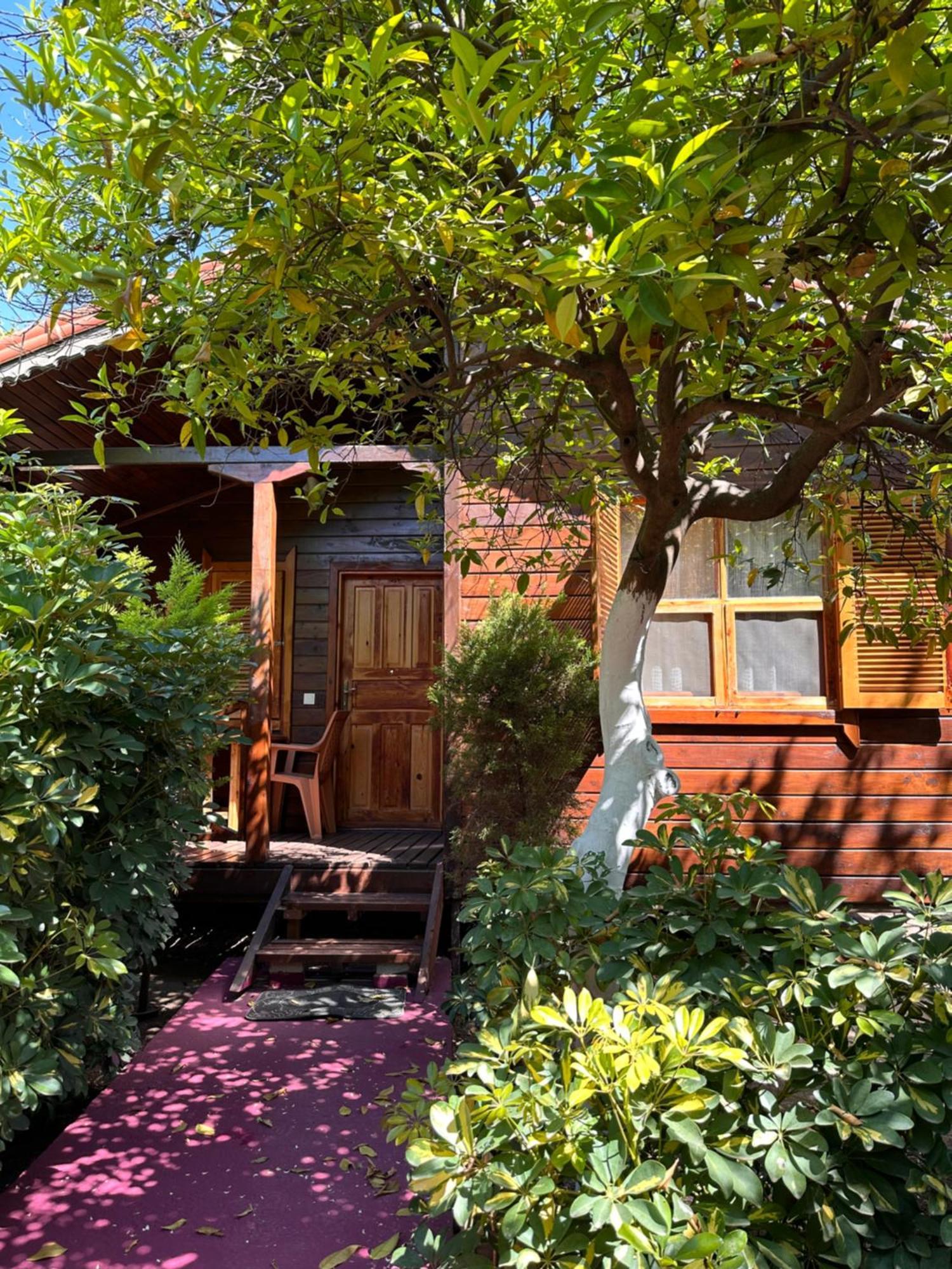 Homestay Sahil Pansiyon Bungalow *