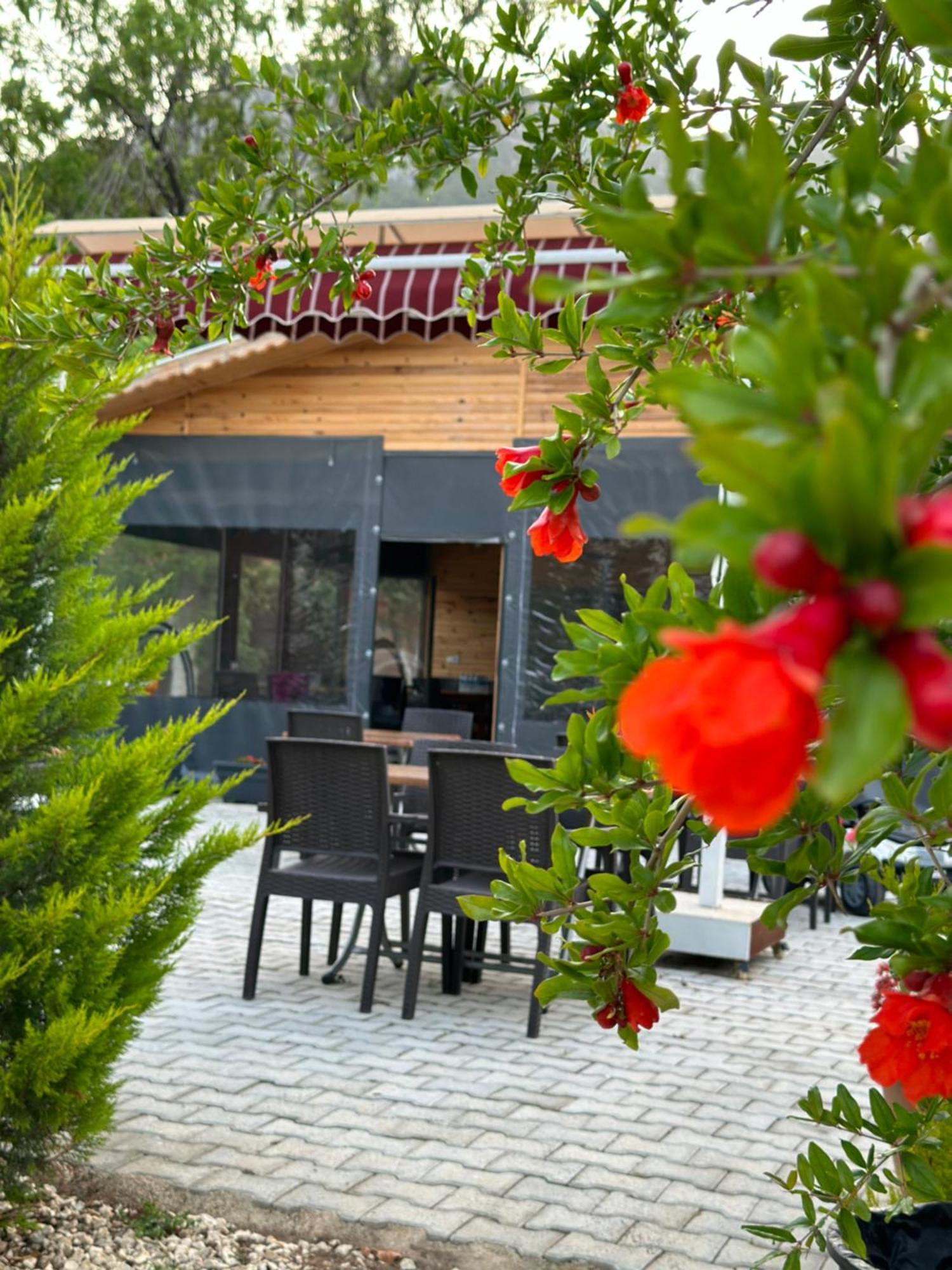 Sahil Pansiyon Bungalow Homestay Antalya